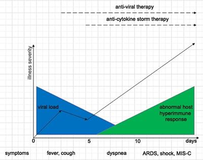 Therapeutic Strategies for COVID-19 Lung Disease in Children